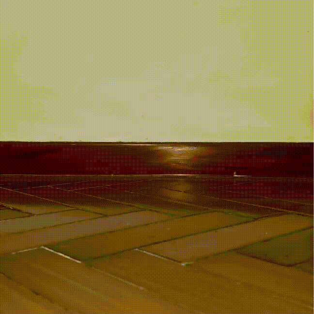 Sneakers Everyday - DeFlorance™